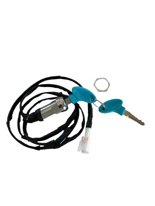 Plug and play talaria xxx key ignition